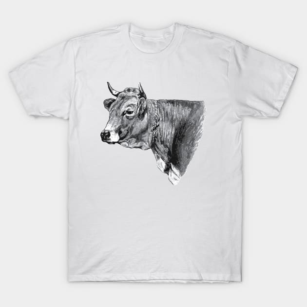 Cow head Vintage Picture T-Shirt by KC Happy Shop